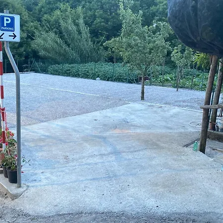 Farfalle E Gabbiani