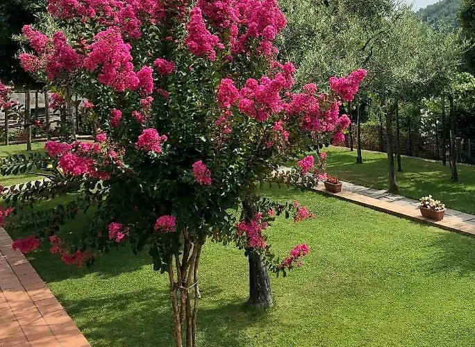Farfalle E Gabbiani 4* Tramonti