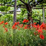 Farfalle E Gabbiani Bed and breakfast 4*