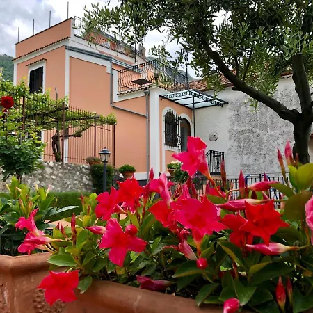 Farfalle E Gabbiani Tramonti