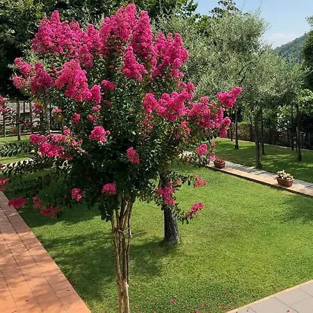 Farfalle E Gabbiani 3* Tramonti