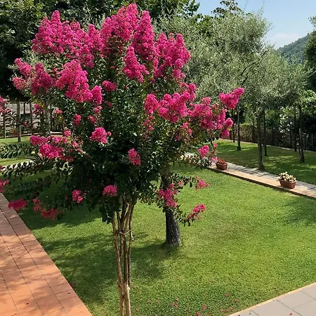 Farfalle E Gabbiani 4* Tramonti