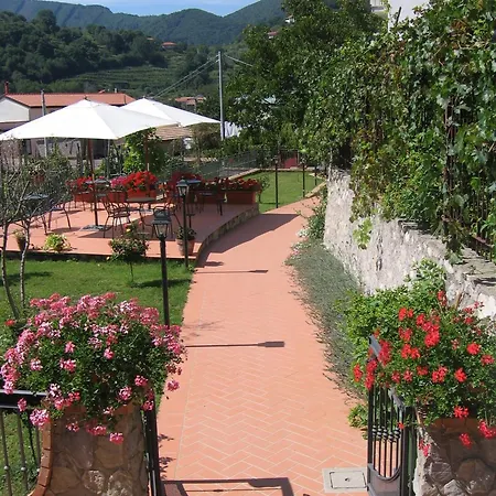 Farfalle E Gabbiani Tramonti