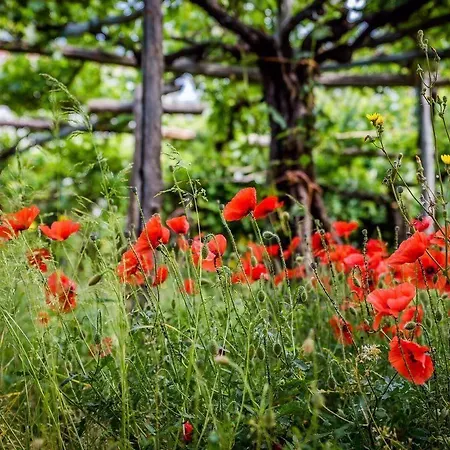 Farfalle E Gabbiani Bed & Breakfast 4*