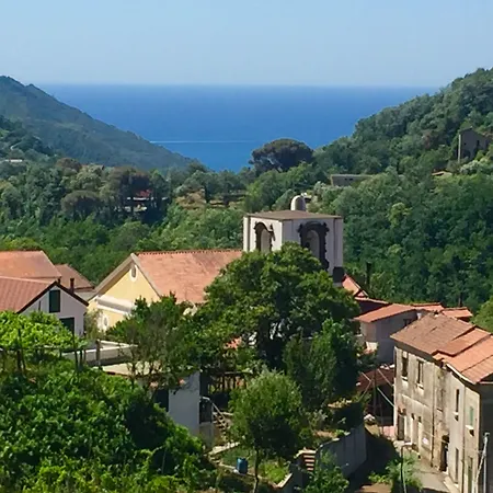 Bed & Breakfast Farfalle E Gabbiani Tramonti
