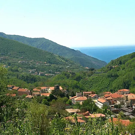 Farfalle E Gabbiani Tramonti